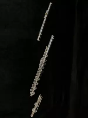 Yamaha Band - YFL222 2
